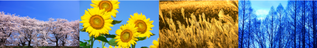 The picture shows scenes representing spring, summer, fall, and winter, serving as a visual guide to the various weather conditions one should be prepared for.